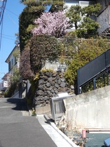 P1000609