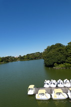 P1060582