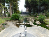 DSCN0652