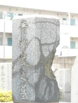5d2d2085.JPG