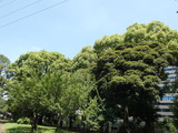 P1000839