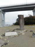 DSCN0762