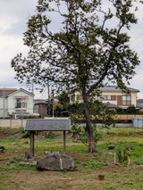 DSCN3791±©º¬ÌÚ¤Î810hdr¤Îw