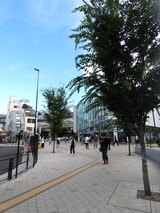 P1000920
