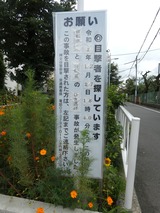 P1030381