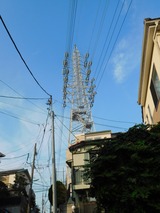 DSCN0808