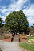 P1060590