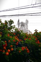 P1060558