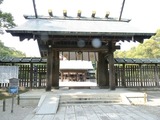 d8c761a2