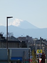 P1020247