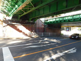 DSCN0786