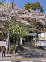 IMG_20230401_100204[1]