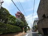 P1030325