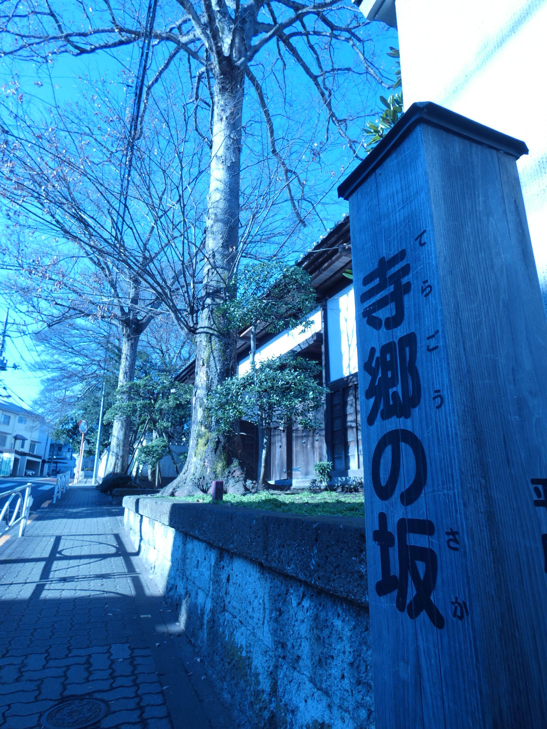下北沢x物語 3927 坂と文学 陽のあたる坂道 Web東京荏原都市 下北沢x物語 3927 坂と文学 陽のあたる坂道 Web東京荏原都市