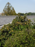DSCN0639