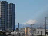 P1000772