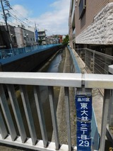 DSCN0517