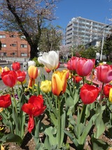 P1000891