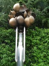 ����ë����ʿ�¤���