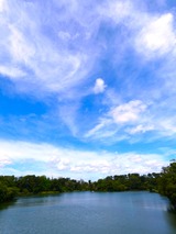 P1000899