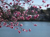 P1000765