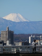 P1000573