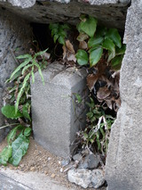P1020192