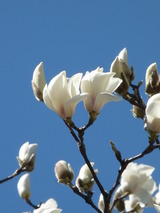 P1010846