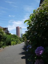 P1000863