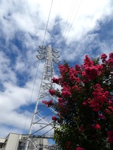 P1020019