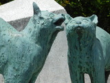 DSCN0522
