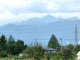 P1000831(1)