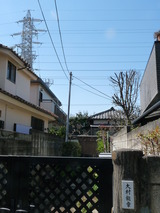 P1010859