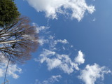 P1000644