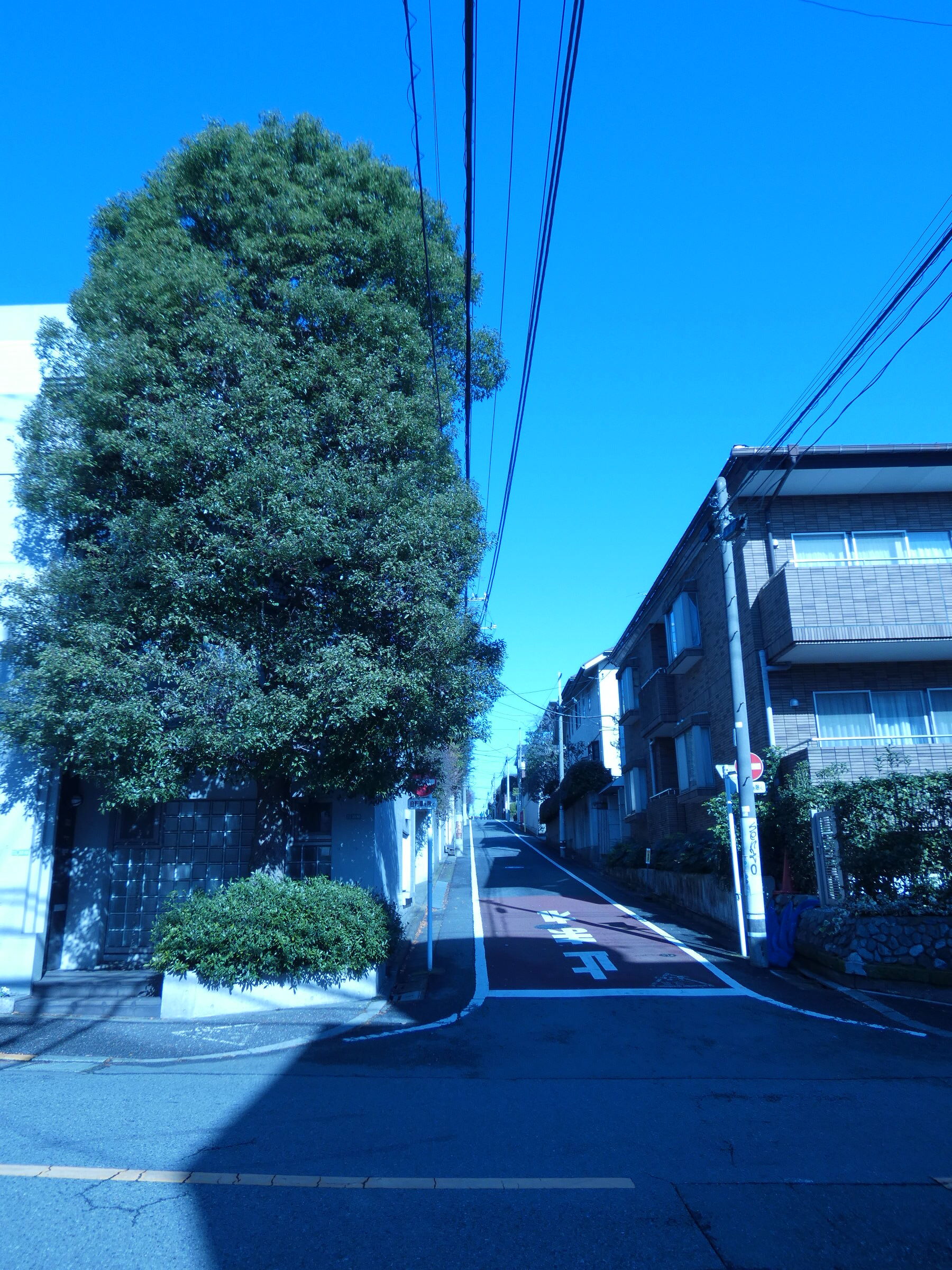 下北沢x物語 3929 陽のあたる坂道 のモデル Web東京荏原都市 下北沢x物語 3929 陽のあたる坂道 のモデル Web東京荏原都市