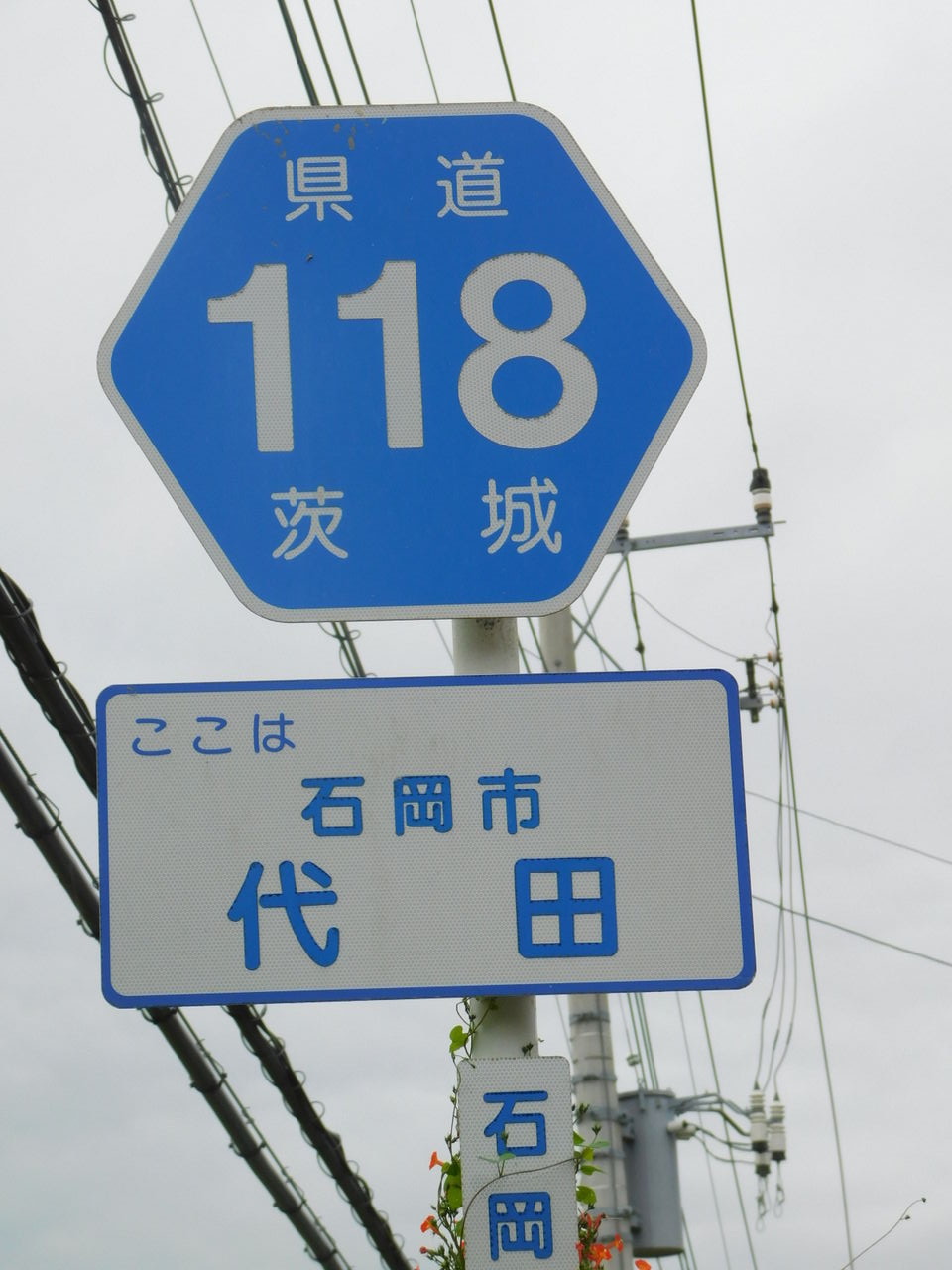 下北沢x物語 3623 ダイダ 濁点一つの真偽を求めて Web東京荏原都市物語資料館 下北沢x物語 3623 ダイダ 濁点一つの真偽を求めて Web東京荏原都市物語資料館