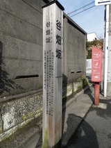 P1000705