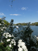 P1020559