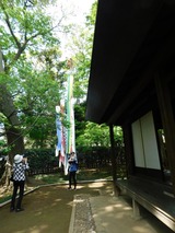 DSCN0502