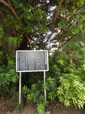 P1030331