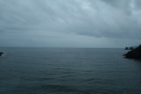 ssDSC_0337