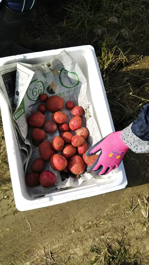 畑仕事_190404_0003