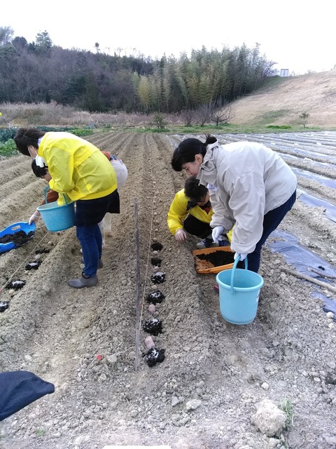 畑仕事_190404_0014