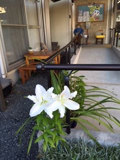 120712カサブランカ