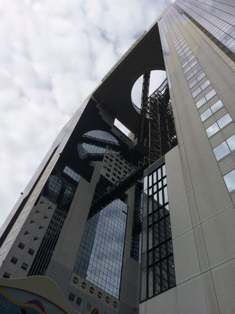 イメージ 7
