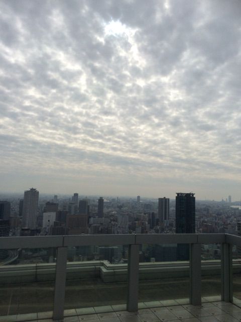 イメージ 12