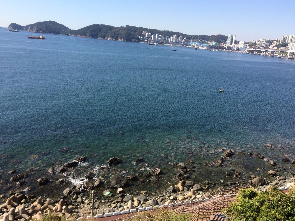 イメージ 9