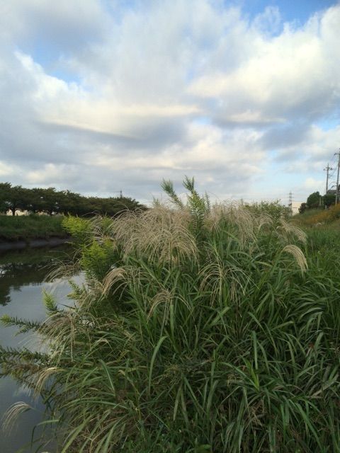 イメージ 9