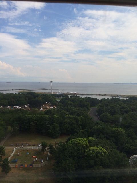 イメージ 5
