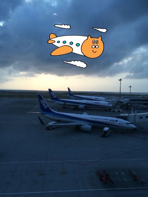 イメージ 14